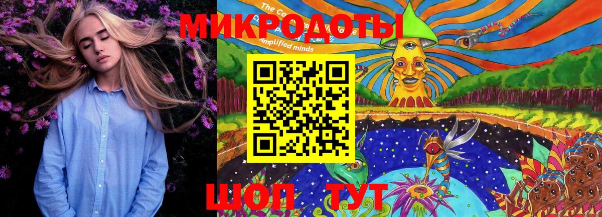 Галлюциногенные грибы Psilocybe Алапаевск