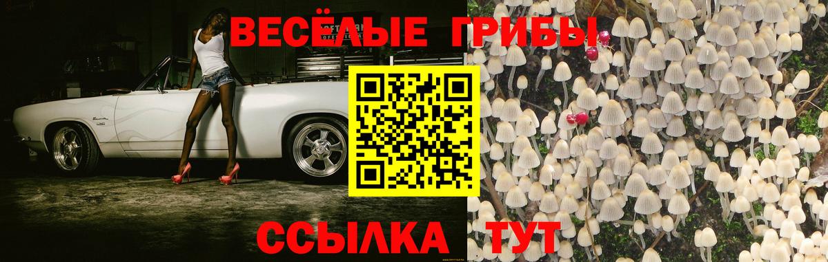 Псилоцибиновые грибы ЛСД  Псилоцибиновые грибы Psilocybe  Алапаевск  Вход с VPN 
